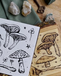 Image 3 of a sketchbook of poisonous mushrooms