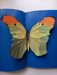 Image 10 of Damien Hirst - I Want to Spend the Rest of My Life Everywhere, with Everyone, One to One, Always