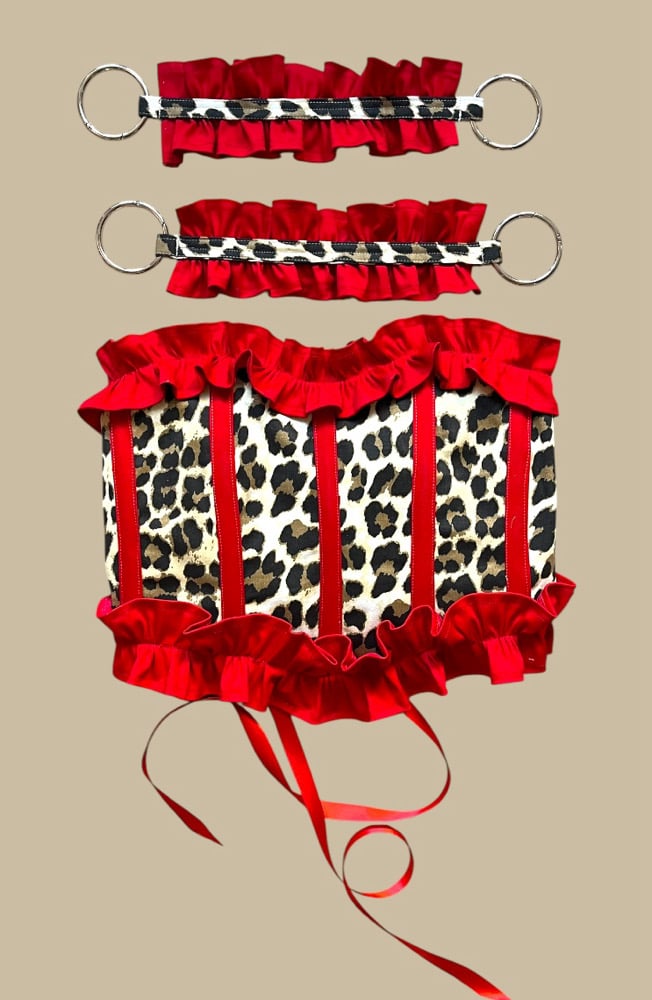 Image of Leo red corset