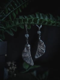 Image 1 of Real maple seed earrings