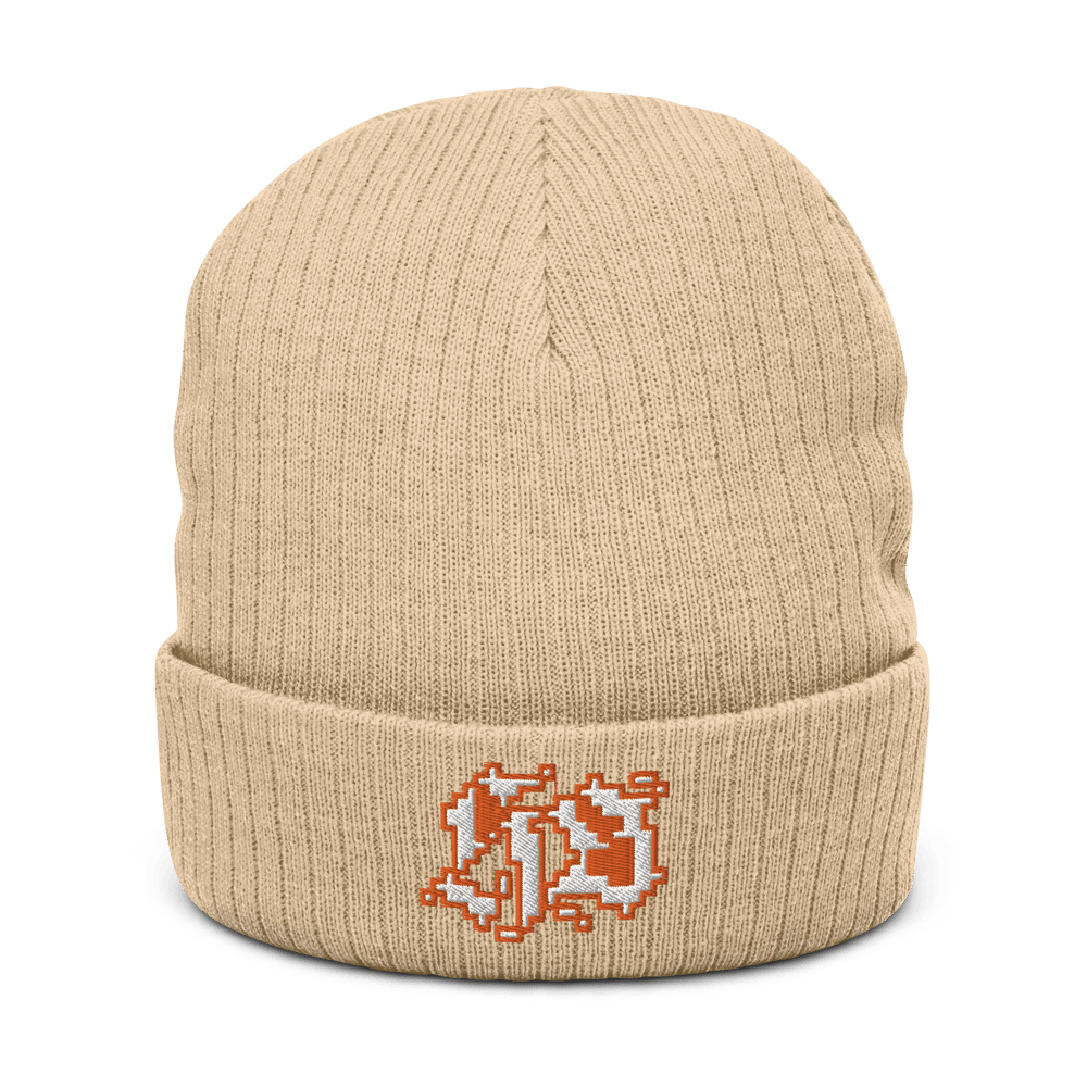 The "H.S." beanie