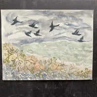 Image 4 of Birds and seaweed 