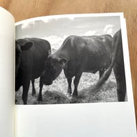 Image 9 of Odette England - The Long Shadow (Signed with print)