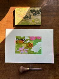 Image 1 of The Moth and the Cosmos