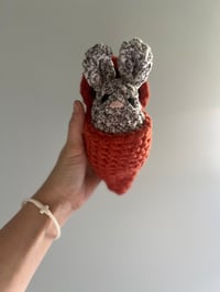 Image 1 of Hatching Carrot Bunny