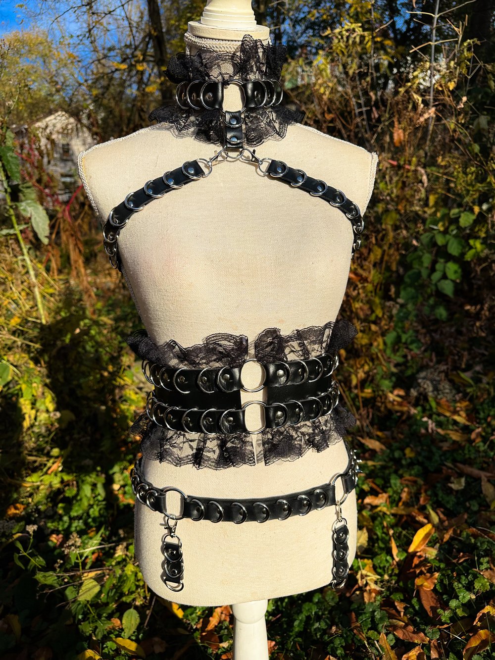 Wicked Harness Set