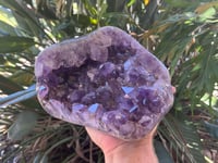 Image 8 of Amethyst Points Cluster With Polished Edges #1574