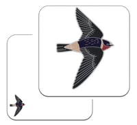 Image 3 of Cliff Swallow - No.133 - UK Birding Series