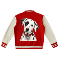 Image 3 of “101 MBRS” Varsity Jacket
