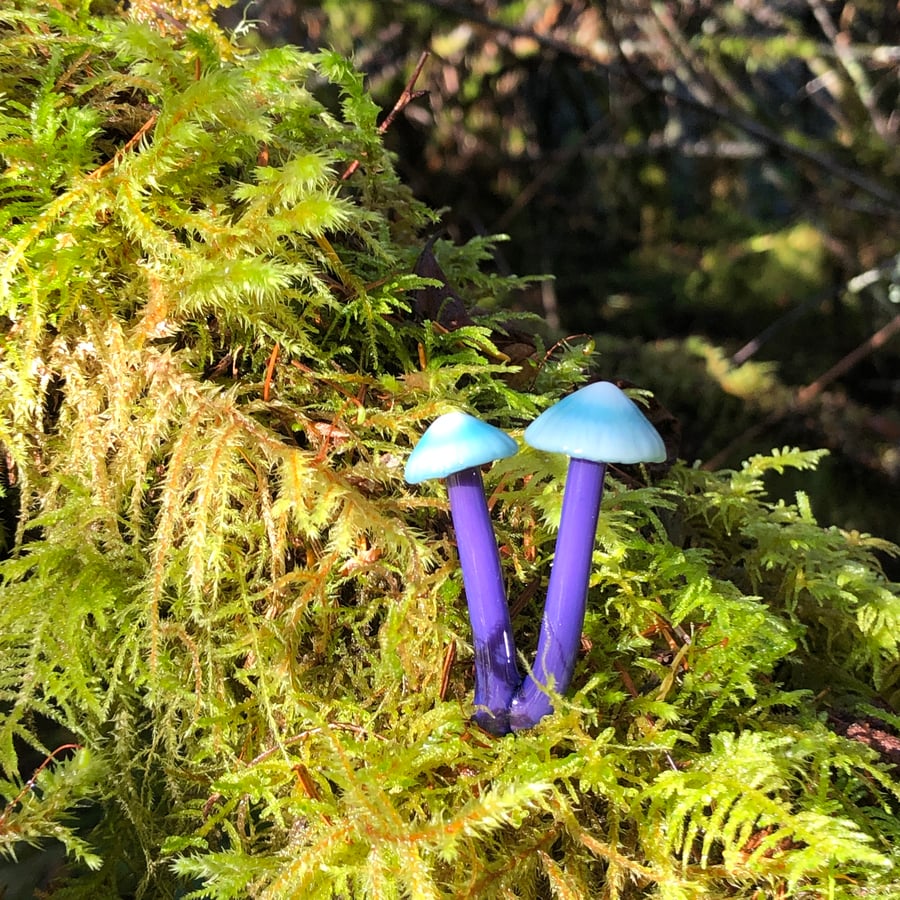 Image of Purple Blue Double Mushroom Plant Spike