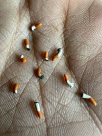Image 3 of 10 burned cigarette butts 1:12 scale