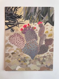 Prickly Pear study