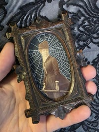 Image 1 of Victorian photocard With Preserved Web in antique wooden frame