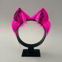 Image 1 of Magenta Stars Kitten