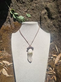 Image 3 of Clear Quartz Mossy Mushroom 