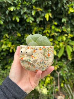 Image of Snaggletooth Monster planter 