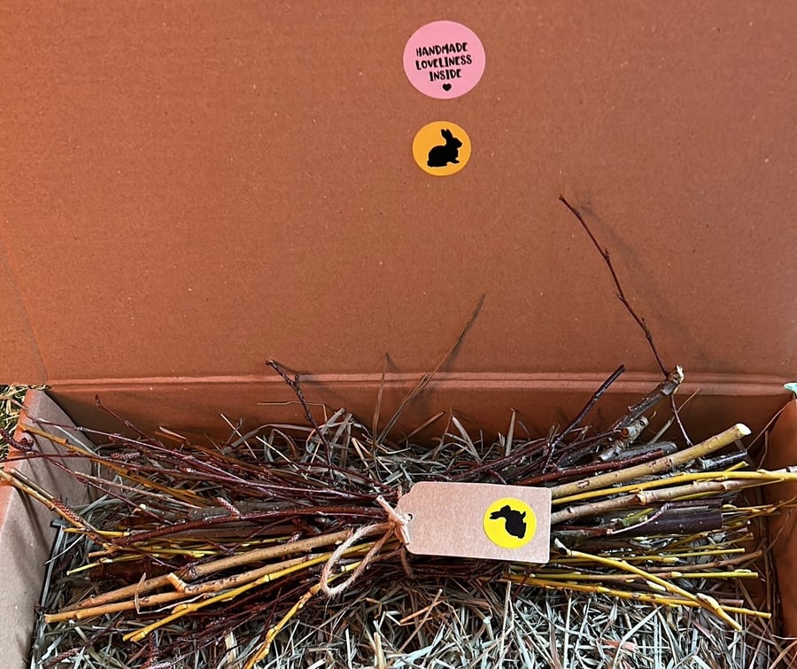 Image of Dried Delights Foraged Branch Toy