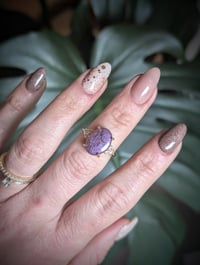 Image 3 of The Amanda