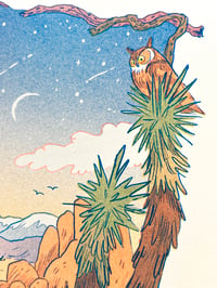 Image 4 of Desert Dreams Riso Print