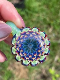 Image 3 of Purple Slyme