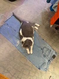 Image 8 of SILVERTAB TOTE BAG