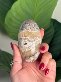 Image 1 of MEXICAN LACE AGATE SHIVA A