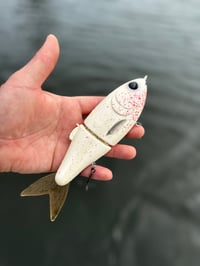 Image 1 of Nimbus 7.5