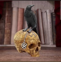 Image 1 of Salems Familiar 27cm