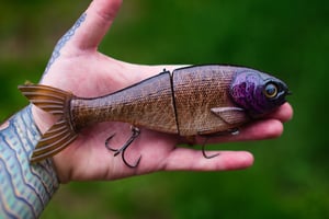 Image of Bull Shad Glide — Matt Shad