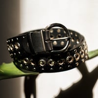 Image 1 of Rodeo chic