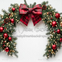 Image 3 of Christmas Mini Shoot 2025 - deposit only