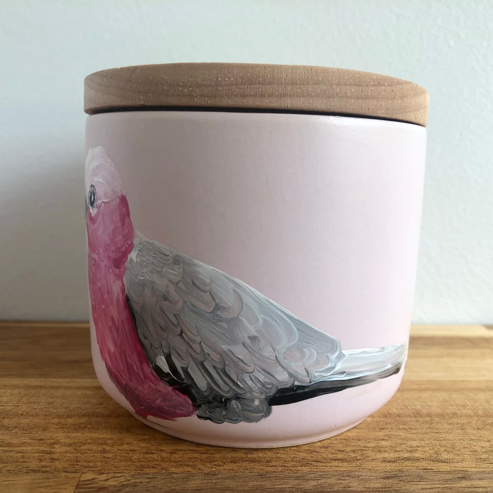 Pink Galah Canister