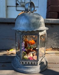 Image 1 of "Fox in a Meadow" Lantern Curiosity