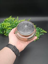 Image 5 of Vintage decorative glass Jar with  Real Preserved Web A