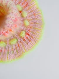 Image 4 of Sofie and Iris Pale Pink, Pastel Green, Neon Coral and Pale Neon Pink Mohair Collar