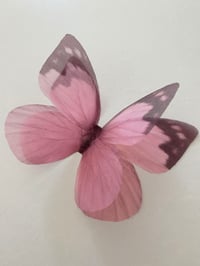 Image 1 of  Pink (Larger single butterfly)