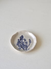 Botanical Ring Dish