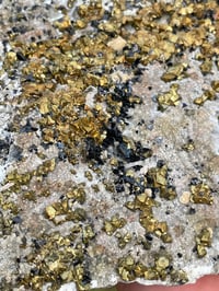 Image 8 of Pyrite, Chalcopyrite, & Sphalerite on Matrix Specimen #384