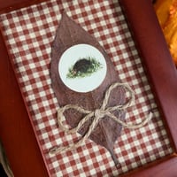 Image 1 of Little Hedgie Original