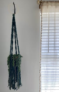 Image 2 of Green Fringe Plant Hanger 