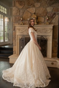 Image 3 of 1950s Champagne Lace Gown
