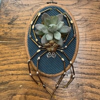 Image 4 of Succulent spider (d, 4x5 inches)