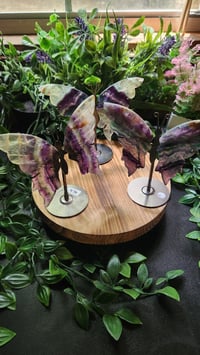 Image 1 of Fluorite Butterfly
