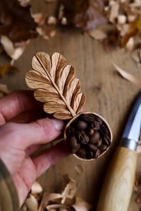 Image 4 of Oak Leaf Coffee  Scoop
