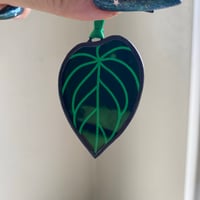 Image 8 of Laser Engraved Single Leaves