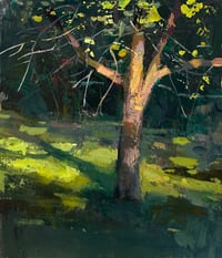 Apple Tree end of summer