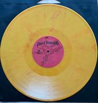 Image 3 of Times of Desperation - Vegan Manifesto LP 2nd press
