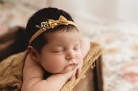 Image 1 of Stretch Tieback 201