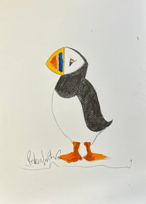 Image of Perky Puffin