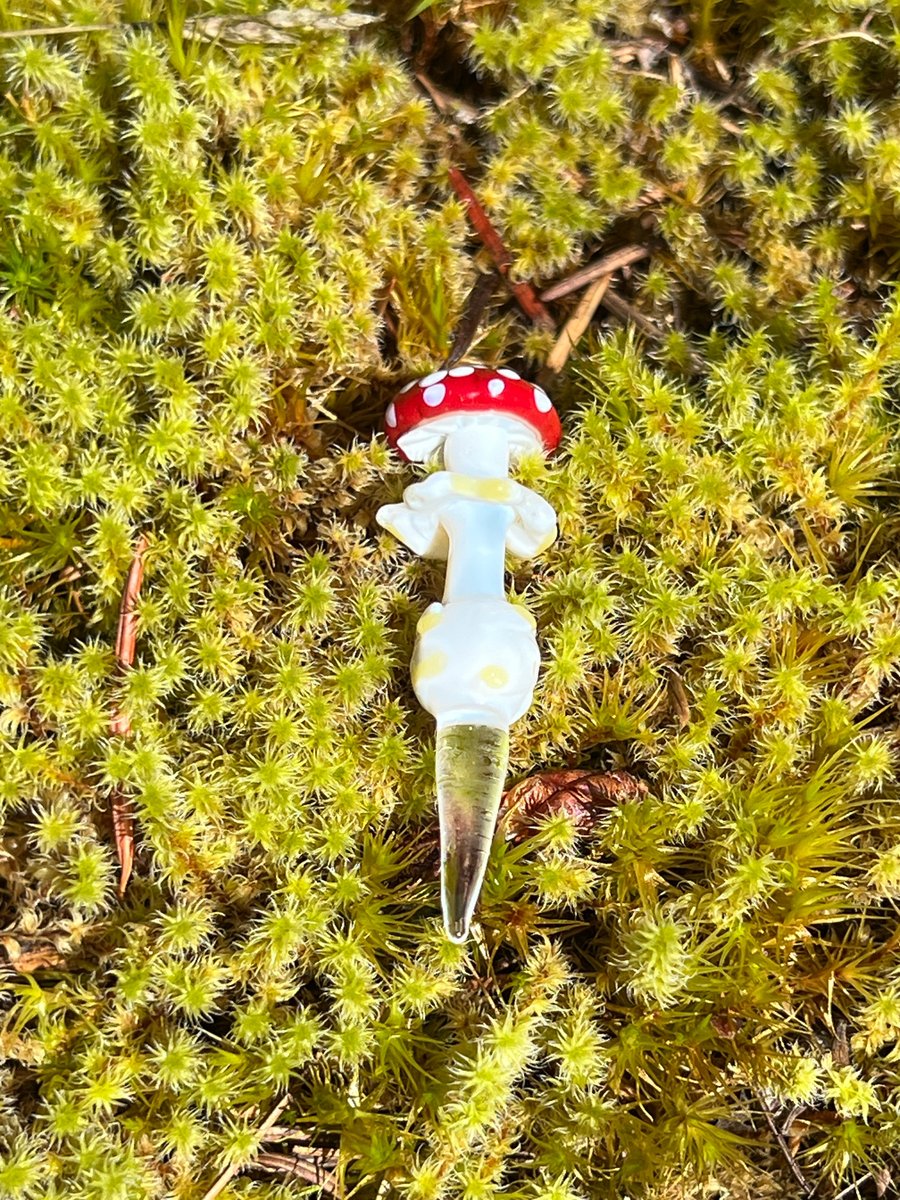 Image of Mini Amanita Mushroom Plant Spike